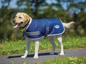 parka_1200d_dog_coat_navy_grey_white_654947_stand.webp