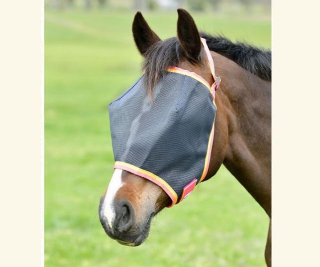 wb_sx_fly_mask.jpg